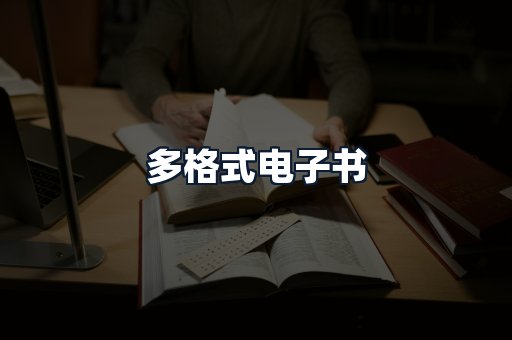 多格式电子书